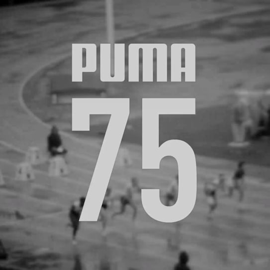 Puma xr 75 cheap